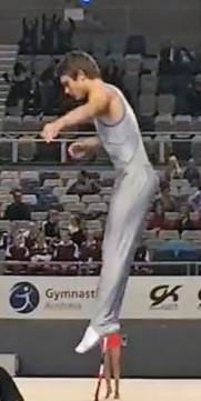 Dylan Schmidt on Gymnastics Australia.jpg