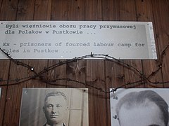 Photographs of prisoners of SS-Truppenübungsplatz Heidelager