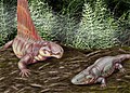 Dimetrodon grandis and Eryops – Early Permian, North America