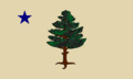 The 1901 Maine Flag flown from 1901 to 1909