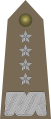Generał (Polish Army)