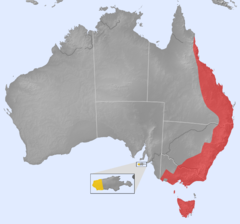 Distribution of the Platypus (Ornithorhynchus anatinus).png