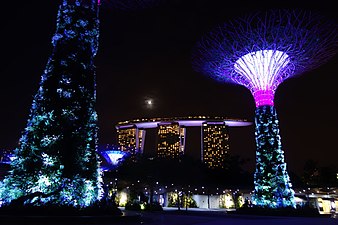 Night view of Marina Bay Sands from Gardens by the Bay