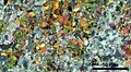 Image 24Thin section scan, by Kallerna (from Wikipedia:Featured pictures/Sciences/Geology)