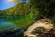 Wooden path over lake in Plitvice Lakes National Park.jpg