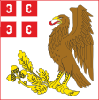 Kragujevac zászlaja