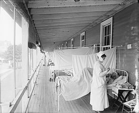 الإنفلونزا الإسبانية في العاصمة واشنطن، الولايات المتحدة. 1918-1919.
