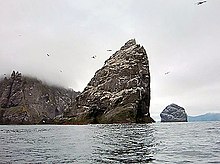 Duże trójkątne skały wystają ze spowitej mgłą powierzchni wody, za nimi więcej wysp, wokół latają głuptaki