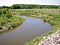 Lac qui Parle River in Lac qui Parle Township