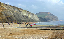 La costa jurásica en Charmouth, Dorset, donde los Anning hicieron algunos de sus descubrimientos.