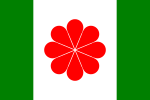 台湾独立派が1990年代に台湾共和国の国旗として提案した「クローバー旗」。中央の紋章は日本の十六菊花紋を真似た八菊花紋である。しかしこの国旗は菊花紋の重数が日本より半分少なく、日本の臣下に見えるという非難を受けつつ、最終的に廃案となった。