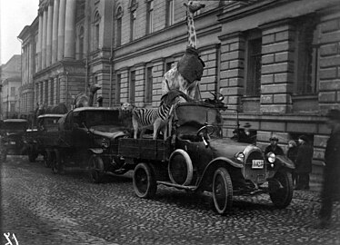 Перемещение зоологической коллекции Хельсинкского университета в музей, 1923 год