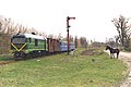 Вузькоколійний поїзд на станції Рудниця (Гайворонська вузькоколійка)