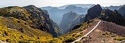 Pico do Ari