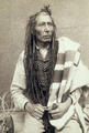 Cree (skupina Plains Cree), porodica Algonquian