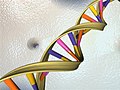Biologia a livello molecolare: il DNA