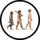Human Evolution Icon.png