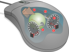 Mouse mechanism diagram.svg