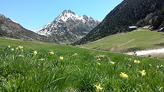 Vall d'Incles