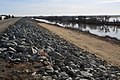 Riprap protecting a levee