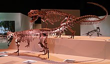 HMNS Paleo Hall Postosuchus and Desmatosuchus.jpg
