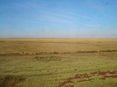 The steppe in Akmola Region, Kazakhstan.