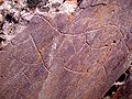 Najdišča prazgodovinske skalne umetnosti v dolini Côa.