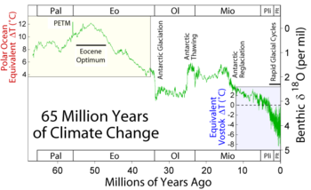 diagramme des températures depuis le Paléocène, il y a 65 millions d'années.