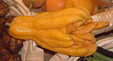 A fingered citron