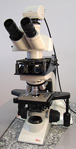 Aufrechtes Epifluoreszenzmikroskop mit offener Abdeckung und Blick auf den Revolver mit Fluoreszenzfilter-Würfeln