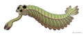 Image 74 Opabinia, an extinct stem group arthropod appeared in the Middle Cambrian (from Marine invertebrates)