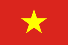Flag of Vietnam (1955). The big gold star represents five main classes (laborers, soldiers, peasants, intellectuals and bourgeois).