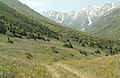 Akszu-Zsabagli Természetvédelmi Terület az ország déli határvidékén