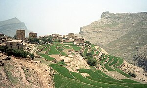 Terraced fields in the Harazi subrange of the Sarawat Mountains in western Yemen