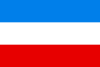 Flag of Mannheim