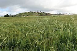 An Israeli village