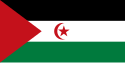 サハラ・アラブ民主共和国の国旗
