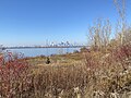 Looking towards downtown Toronto from the Leslie Spit in autumn.