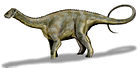 Nigersaurus taqueti