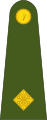 Second-lieutenant (Irish: Dara-lefteanant) (Irish Army)[21]