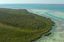 Aerial view of island and forest