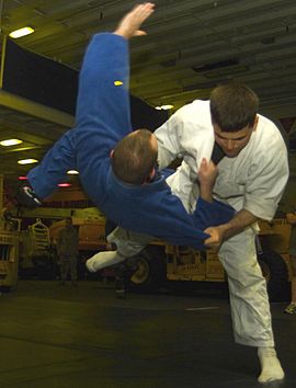 Judo01cropped.jpg
