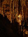 Stalactites and columns in Natural Bridge Caverns, Texas
