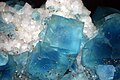 1. Fluorit (kék) és pirit (aranyszínű) kristályok (Milánói természettudományi múzeum, Olaszország) (javítás)/(csere)
