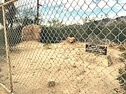 The adobe ruins of the Fort Lowell Kitchen.