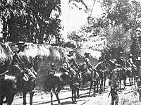 Cavalry of the Royal Dutch East Indies Army in 1906 during the Dutch intervention in Bali (1906)