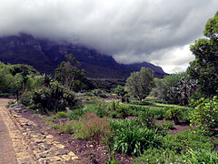 Table Mountain is visible in the background with the 'tablecloth' of clouds shrouding the plateau.