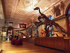 Dinosaurios en el Museo de Historia Natural de Viena.