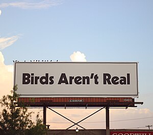 Quảng cáo cho rằng chim không có thật