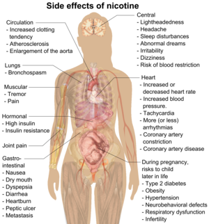 Possible side effects of nicotine include increased clotting tendency, atherosclerosis, enlargement of the aorta, bronchospasm, muscular tremor and pain, gastrointestinal nausea, dry mouth, dyspepsia, diarrhea, heartburn, peptic ulcer, cancer, lightheadedness, headache, sleep disturbances, abnormal dreams, irritability, dizziness, blood restriction, increased or decreased heart rate, increased blood pressure, tachycardia, more (or less) arrhythmias, coronary artery constriction, coronary artery disease, high insulin, insulin resistance, and risks to the child later in life during pregnancy include type 2 diabetes, obesity, hypertension, neurobehavioral defects, respiratory dysfunction, and infertility.